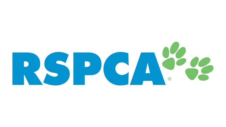 RSPCA MMA Global