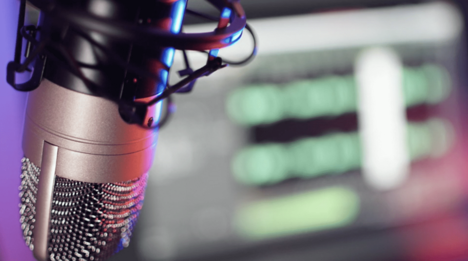 Voice &amp; Audio Case Studies