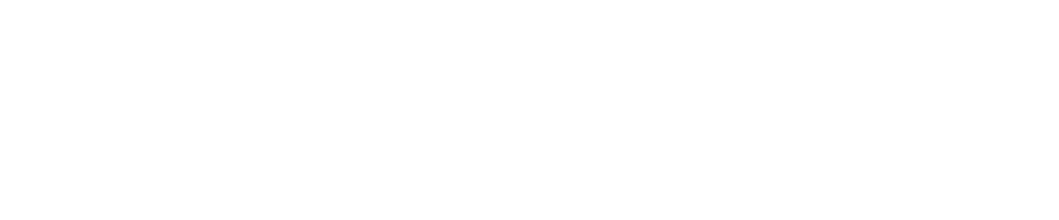 MMA Impact Brasil 2019