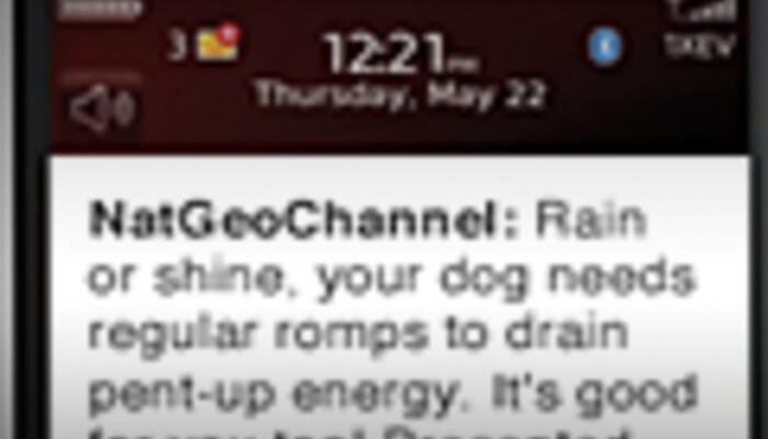 National Geographic Channel Dog Whisperer SMS