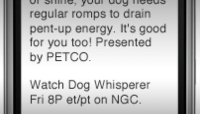 National Geographic Channel Dog Whisperer SMS