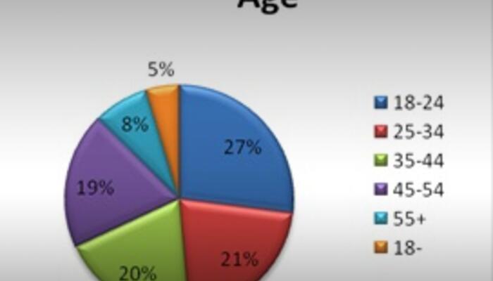 Chart showing age breakdown of scans