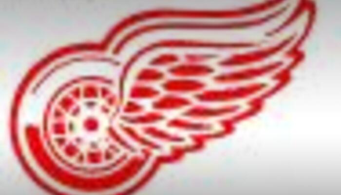 Red Wings Case Study (Textopoly)