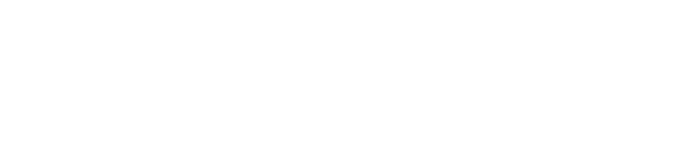 MMA Impact Brasil 2019