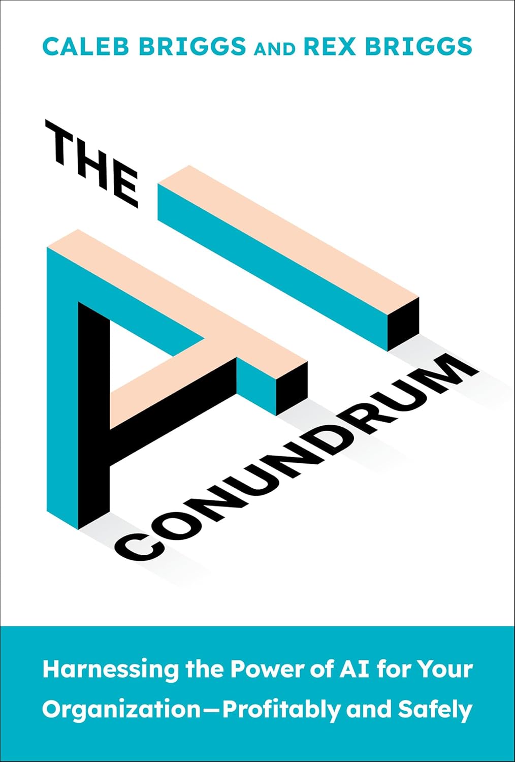 The AI Conundrum: Harnessing the Power of AI for Your Organization Profitably and Safely